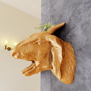 May include: A golden brown, wooden goat head mounted on a gray wall. The goat's mouth is open and the head is tilted to the side. A small green plant is growing out of the top of the head.