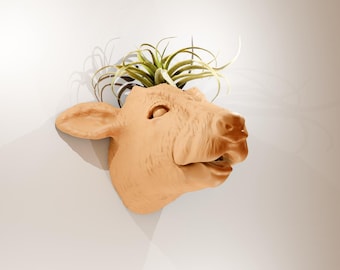 cow calf wall mount mooing planter pot flower vase cactus succulent farm and home decor, jersey cow head