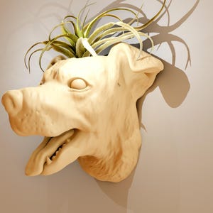 May include: A beige ceramic dog head planter with a green air plant growing out of the top.