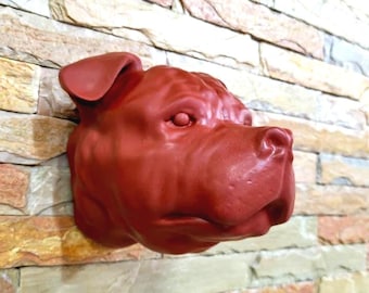 Pitbull terrier dog head, ears down, wall art, decor, wall mount, head taxidermy, decor,  wall art, 3d  animal heads, pets, memorial