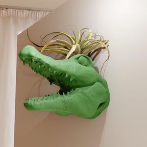 May include: A green alligator head sculpture with an air plant growing out of the top. The sculpture is mounted on a white wall.