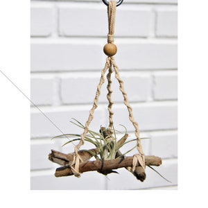 May include: A macrame plant hanger with a wooden bead and two pieces of driftwood for a plant to sit on. The hanger is hanging from a hook on a white brick wall.