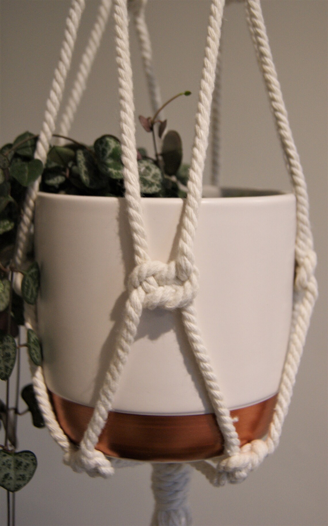 Thick Cotton Cord Macrame Plant Hanger Chic Homeware Plant Etsy