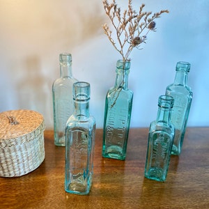 K&ouml;nnte beinhalten: F&uuml;nf klare Glasflaschen mit gepr&auml;gten Schriftz&uuml;gen auf einer Holzoberfl&auml;che. Die Flaschen sind mit getrockneten Blumen gef&uuml;llt und in einer Reihe angeordnet. Die Flaschen sind alle in verschiedenen Gr&ouml;&szlig;en und Formen.