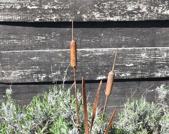 Rusty Flower Metal Cattails Set of Two,Rusty Metal Decoration,Cattail,Forged Garden Flower,Garden Decoration