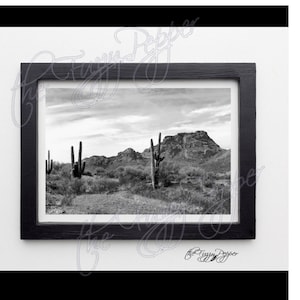 Arizona Desert Landscape Print, Digital Download Black and White Photo, Cactus, Salt River, Desert Landscape Printable Wall Art | Southwest