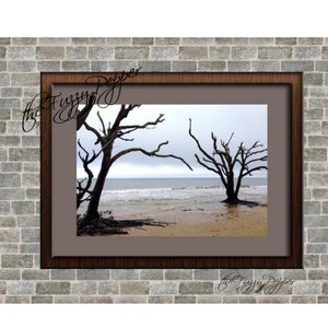 Botany Bay Beach Print, Tree &quot;boneyard&quot;,  Edisto Island, Printable Digital Download Photo, South Carolina Lowcountry Beach Wall Art