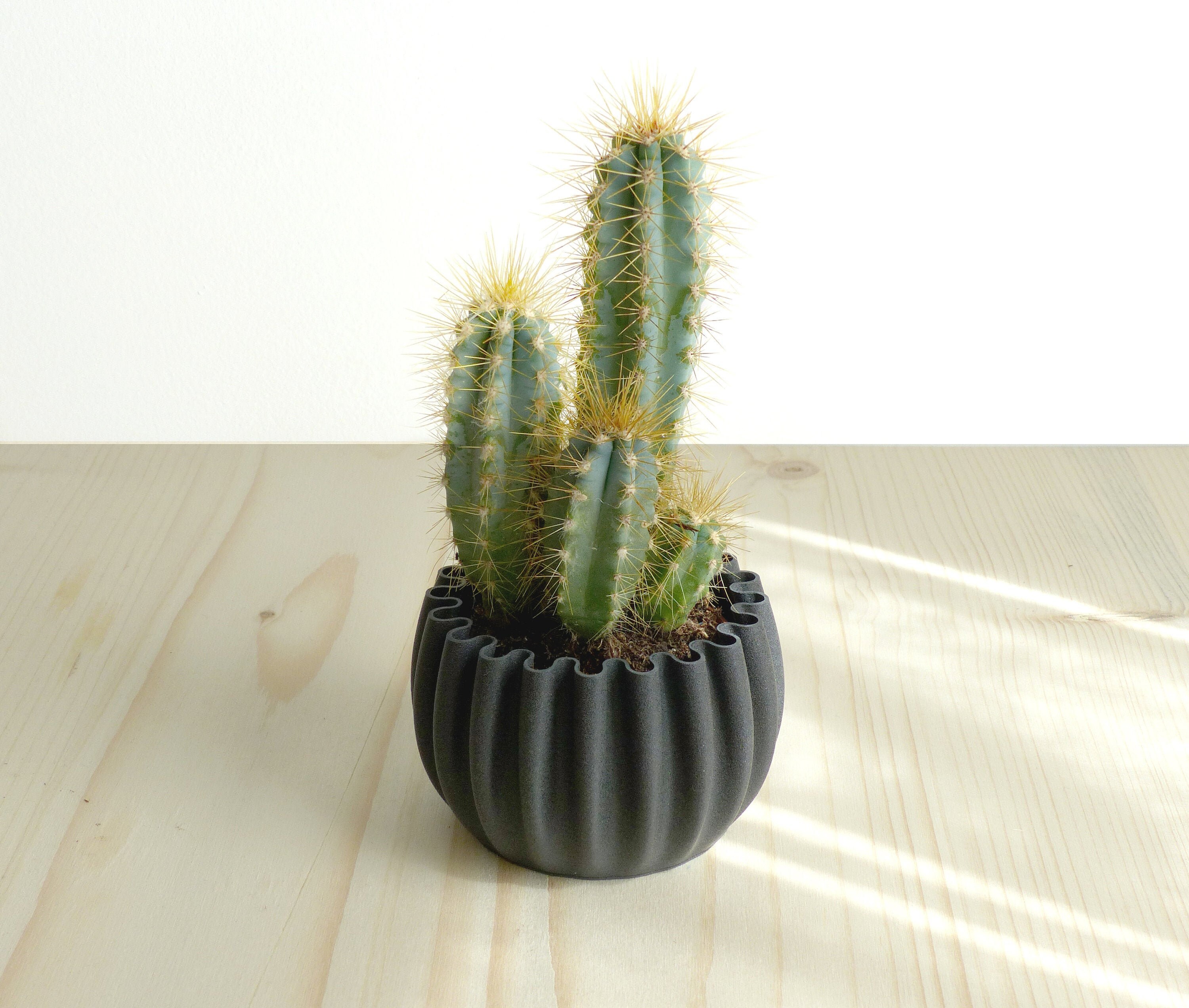 Planteur Intérieur/Cachepot Vase Succulent Pot de Plantes Mignonnes Conception Géométrique