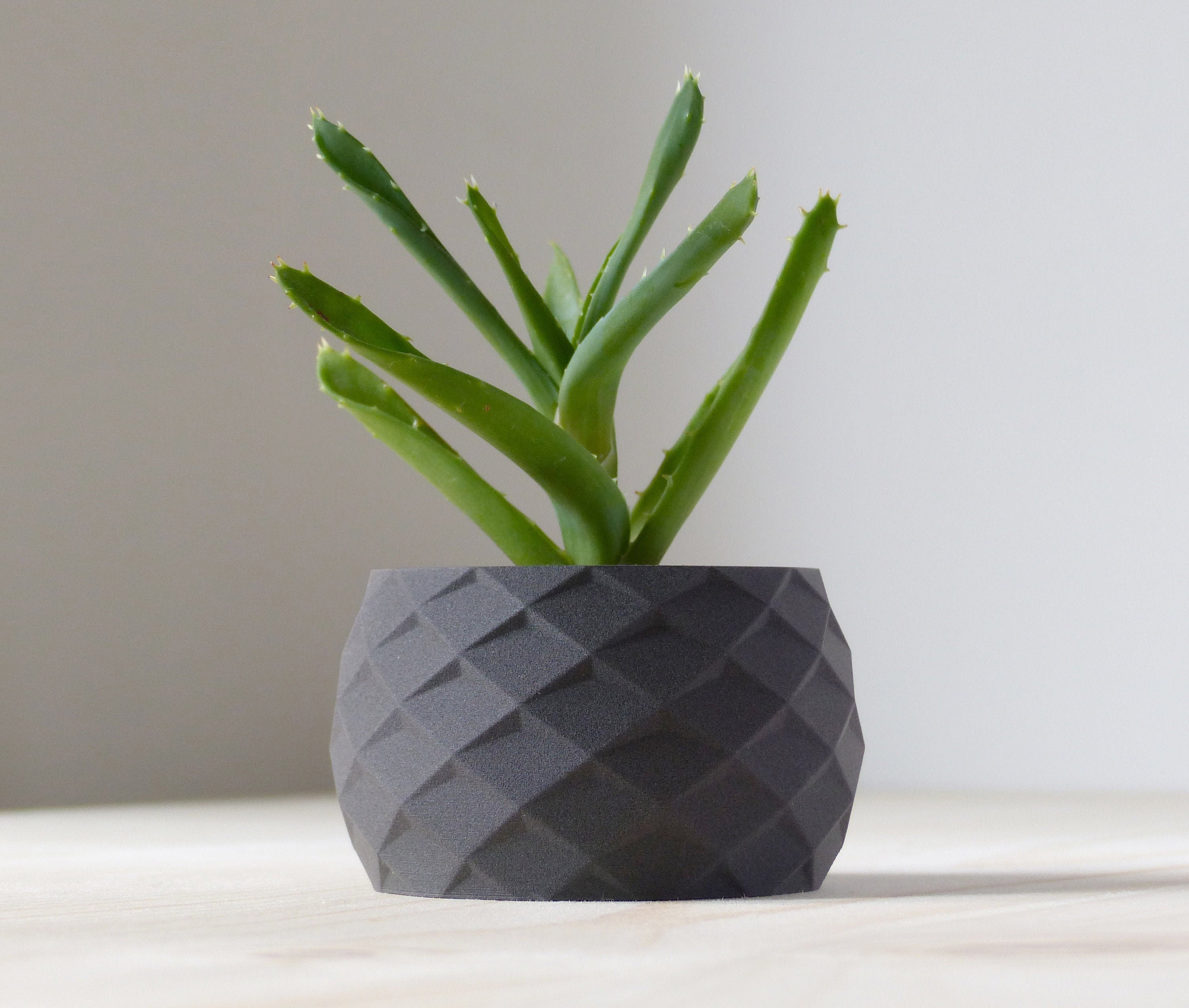 Pot Succulent/Vase Géométrique Jardinière Intérieure Petit Végétal Pot de Cactus Moderne Mignon