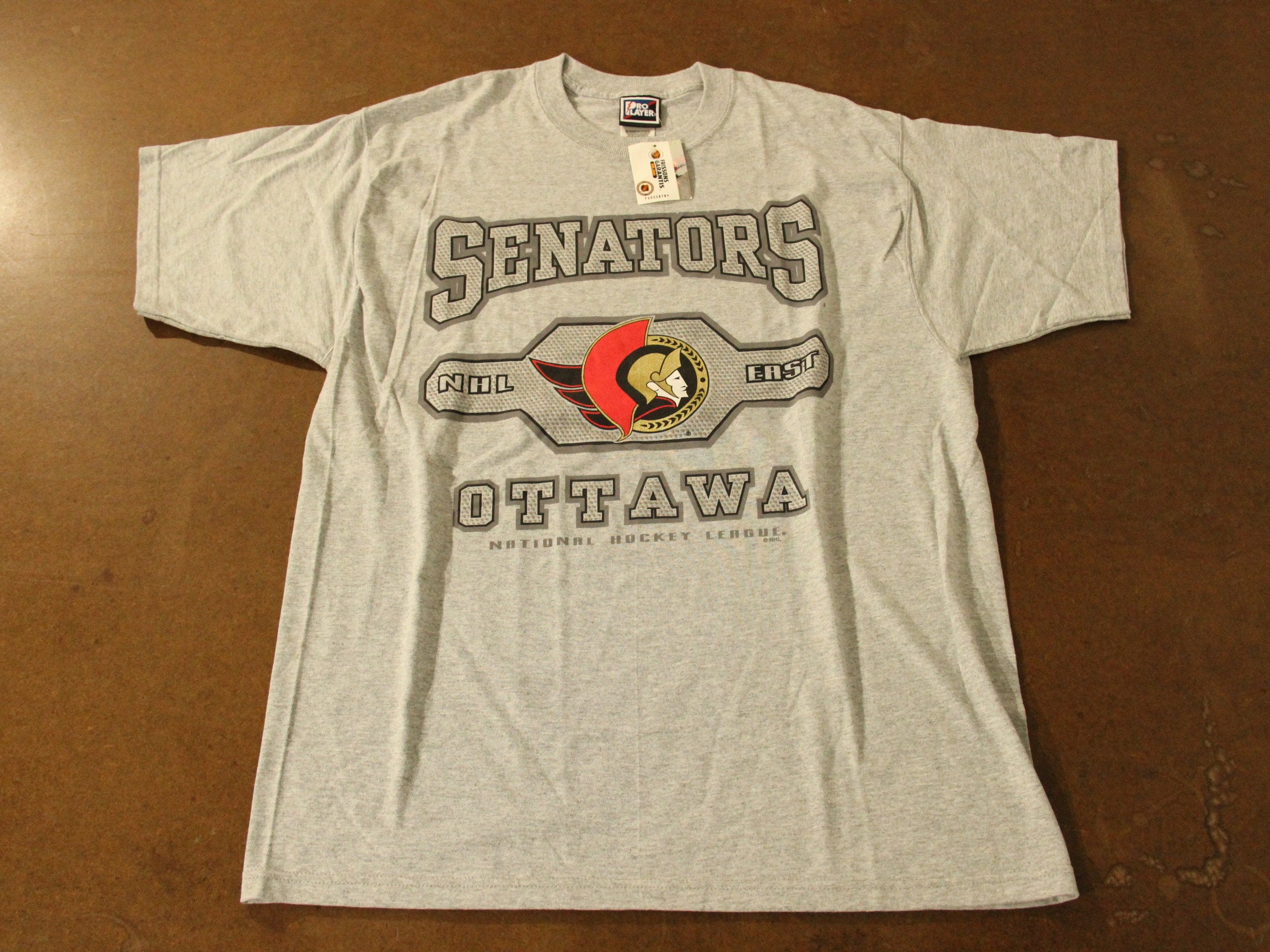 Ottawa Senators ice hockey in side the scratch logo shirt, hoodie, sweater,  long sleeve and tank top