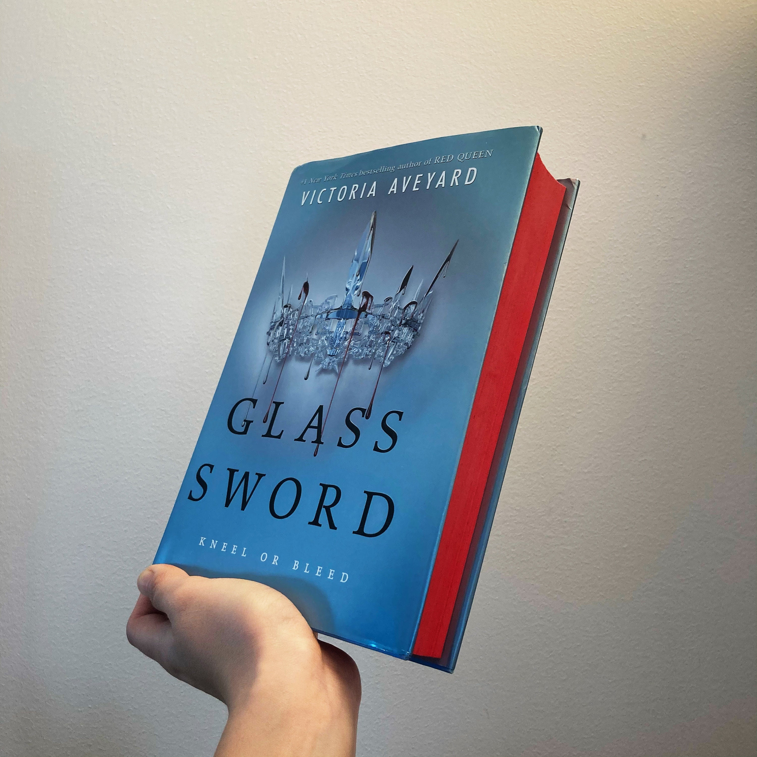 the glass sword book the glass sword book