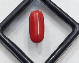 天然イタリア産赤珊瑚カボション、オーバル宝石（14.5 x 7 mm）