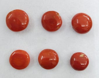 Cabujones vintage de coral rojo italiano, piedra preciosa redonda, lote de 6 unidades