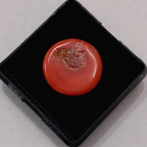 RED CORAL !! Mediterranean Sea Red Coral Cabochon Gemstone-Undyed Coral Cabochon Round Shape-Italian Red Coral Handmade Cabochon For Jewelry