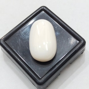 Milky White Coral Handmade Cabochon Gemstone-Japan White Coral Oval Shape Cabochon-Size 20x12x6 MM.  Natural Japanese White Coral Cabochon