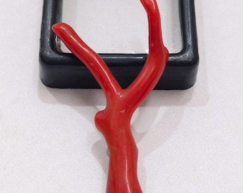 Red Coral Branch Gemstone: Natural Untreated Italian Sea Coral