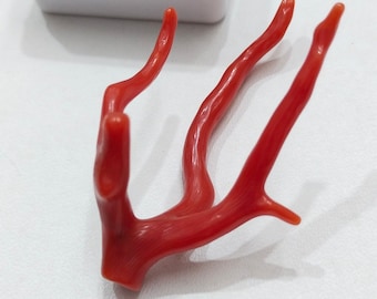Branche de corail rouge italienne vintage : pierre précieuse naturelle pour la fabrication de bijoux