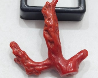 Oxblood Red Coral Reef Branch: Italiensk havsädelsten, 16.50 CRT