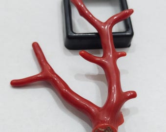 Vintage Italian Red Coral Branch, Natural Gemstone, Jewelry Making