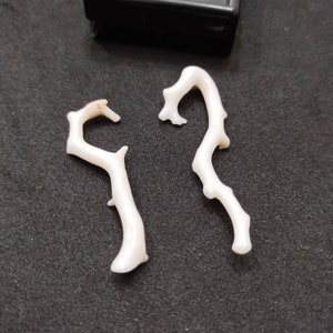 Pu&ograve; includere: Due rami di corallo bianco con una finitura liscia e lucida. I rami sono curvi e hanno una forma naturale e organica.