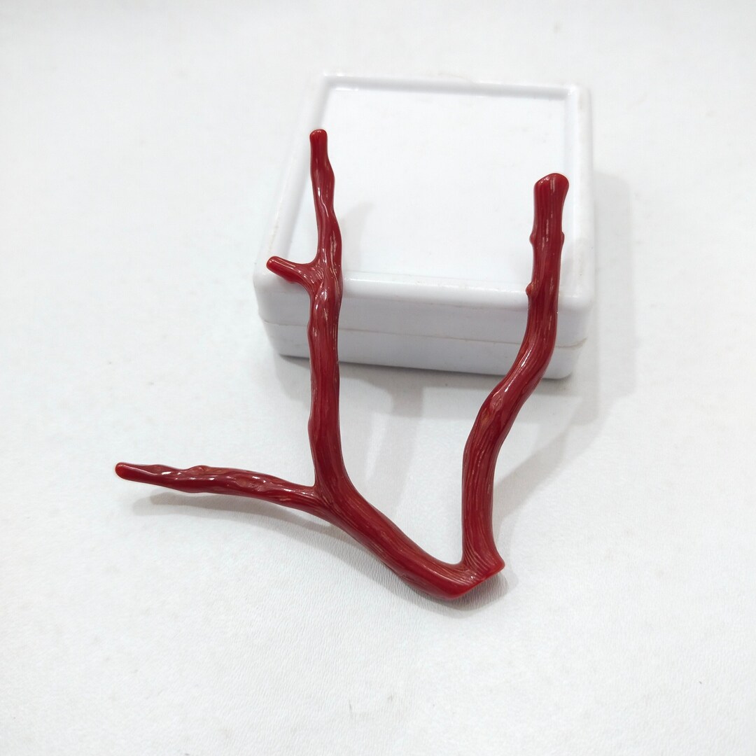 Branche De Corail Rouge Naturel - 76 Carats - Italie - Polie - Effet Astérisme - Mirza Gems