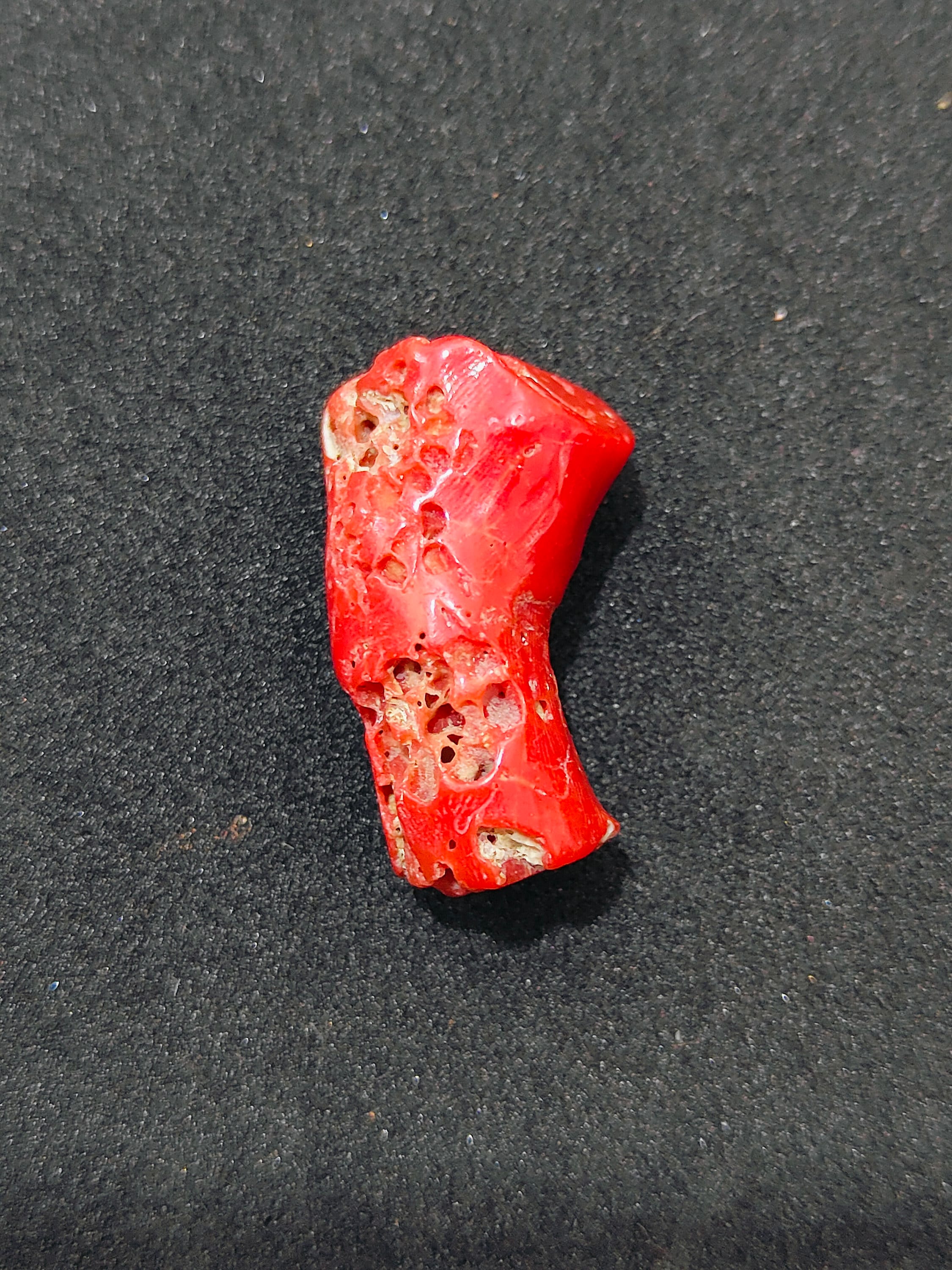 Branche De Corail Rouge Naturel Brut - 11 Carats, Poli, Origine Italie/Inde, Pierre Précieuse