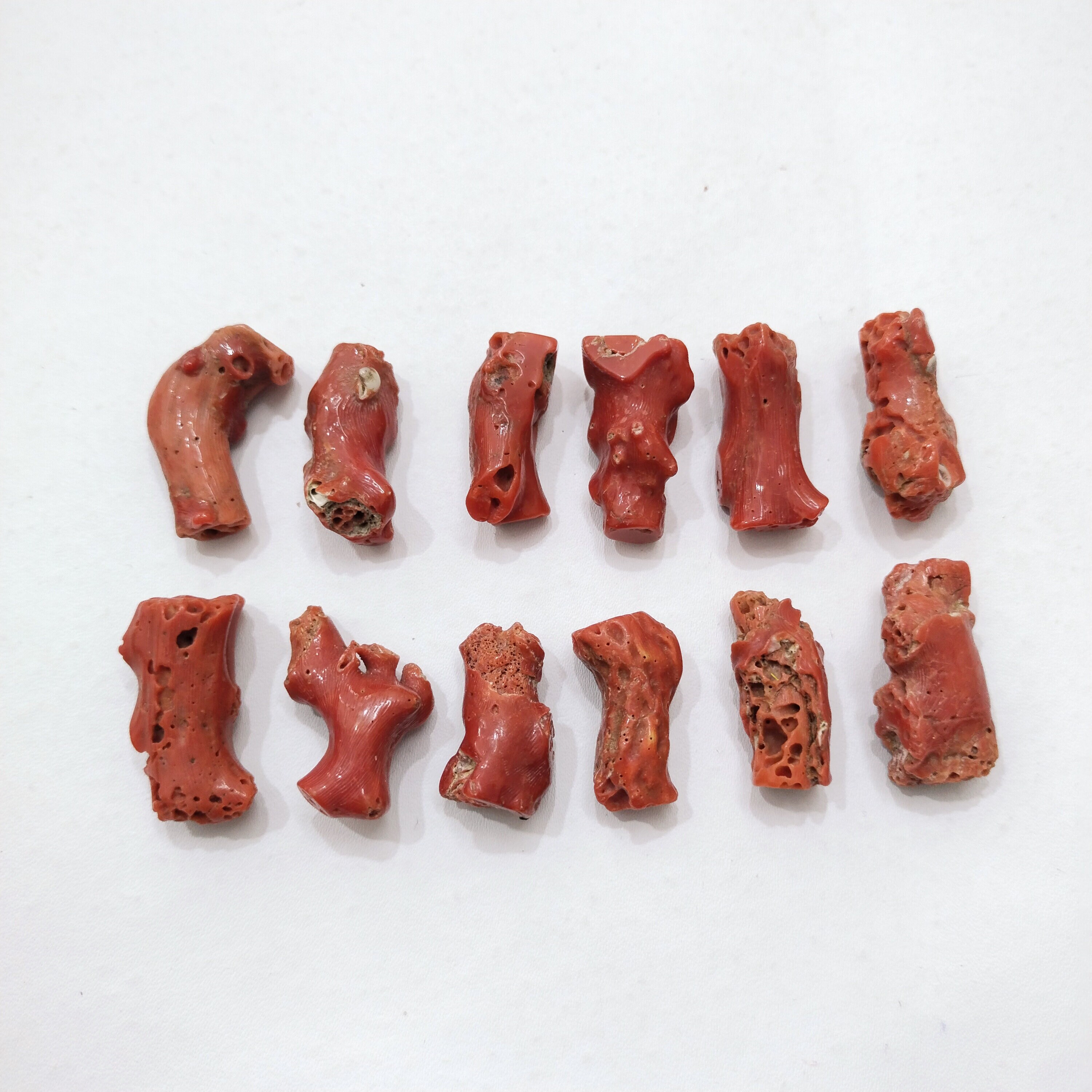 Corail Rouge Brut Naturel – Branches Non Polies – 18.90 Carats – Japon/Inde