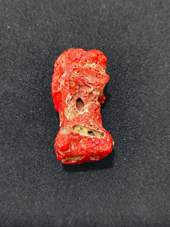 Branche De Corail Rouge Naturel D'Italie - Pierre Précieuse Polie ~7 Carats, 23x12x4mm - Umaiza Gems