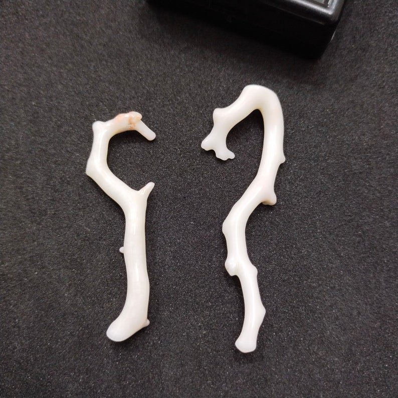 May include: Two white coral branches on a black background.