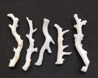 5 pezzi di gemma a forma di ramo di corallo bianco: corallo marino giapponese lucidato