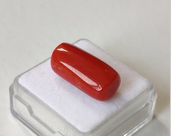Cabochon Ovale En Corail Rouge Naturel D'Italie - 40,80 Carats - Pierre Précieuse Pour Création