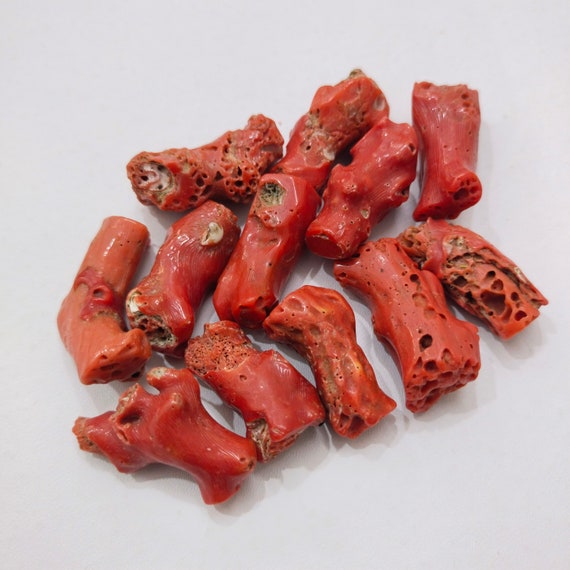 Branche de corail rouge antique : pierre précieuse de corail italien de la mer Méditerranée - France