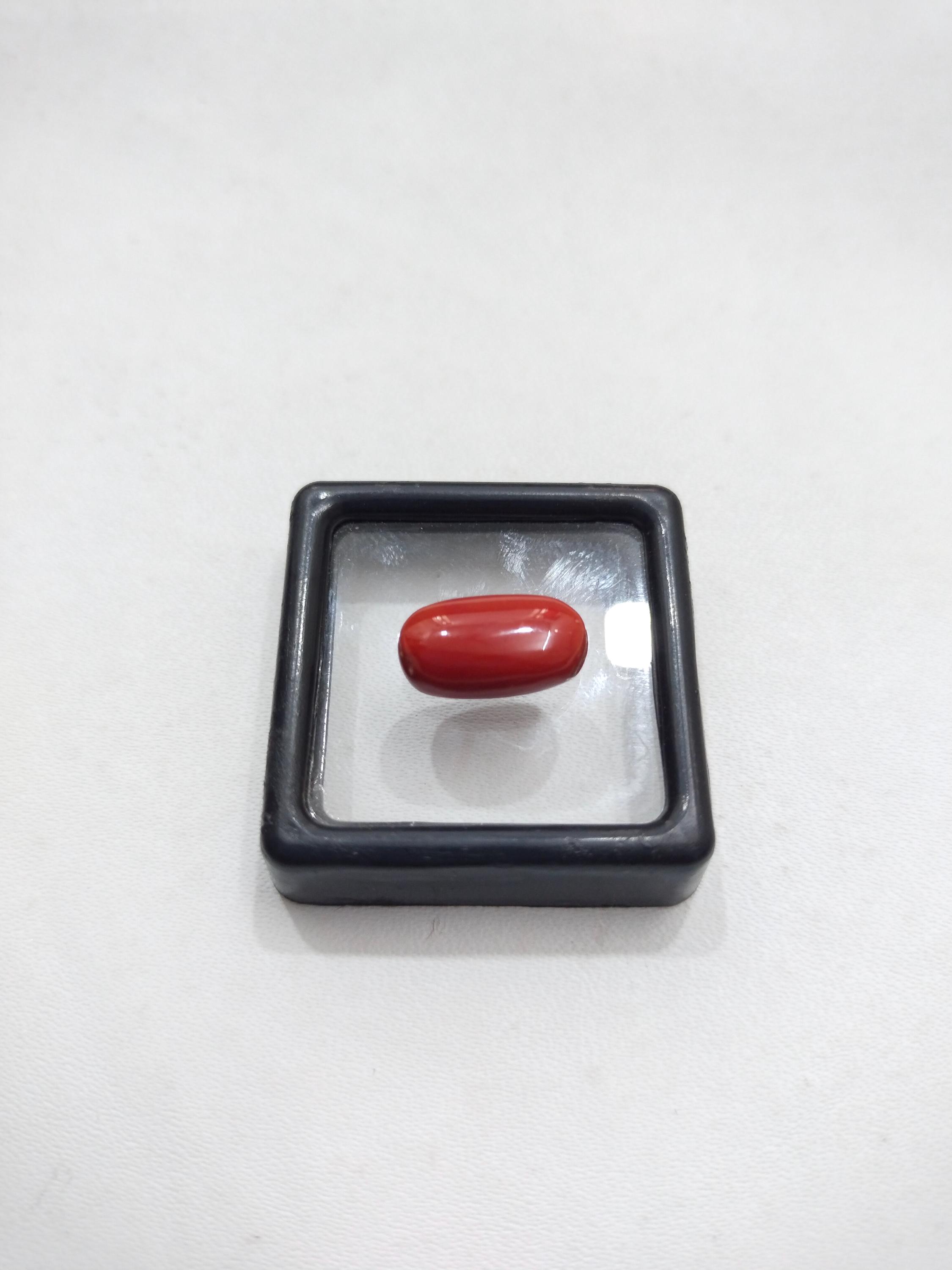 Cabochon En Corail Rouge Naturel Vintage - Pierre Précieuse Polie - Dimensions ~18x14x7 Mm