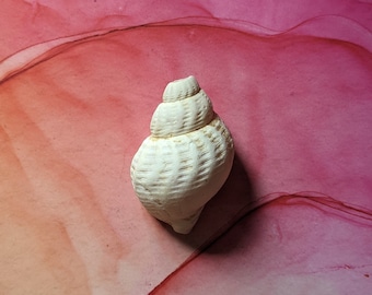 Reiki-healingsessie van één uur op afstand