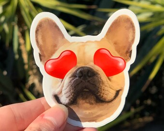 Pegatinas RPGJess Emote