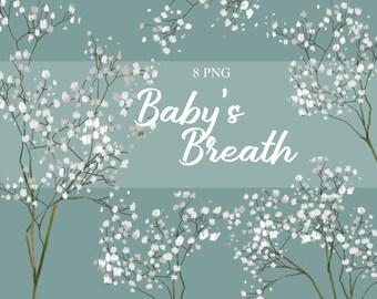 Baby Breath Png Etsy