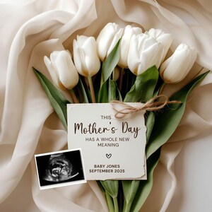 Anuncio digital de embarazo para el Día de la Madre / Dulce revelación para el Día de la Madre / Revelación editable para redes sociales para el Día de la Madre / Un significado completamente nuevo -365a