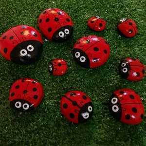 Ladybug Rocks