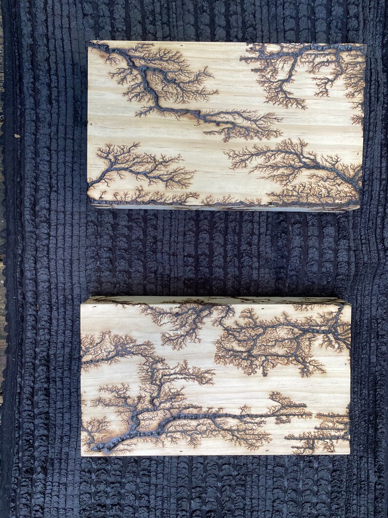 Fractal Wood Burned Wall Artwork 2 Panels - Etsy