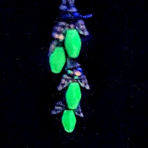 Art Deco Vintage Jadeite Angel Earrings two sets available CIRCA 1970s