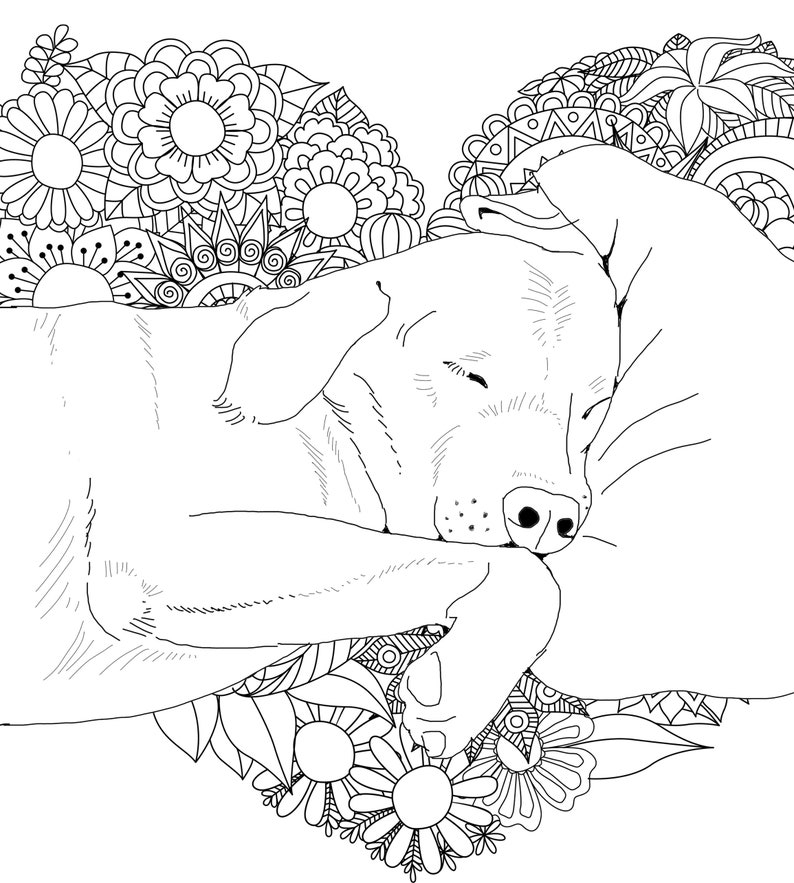 Download My Crazy Labrador Coloring Book for Adults lab coloring book | Etsy