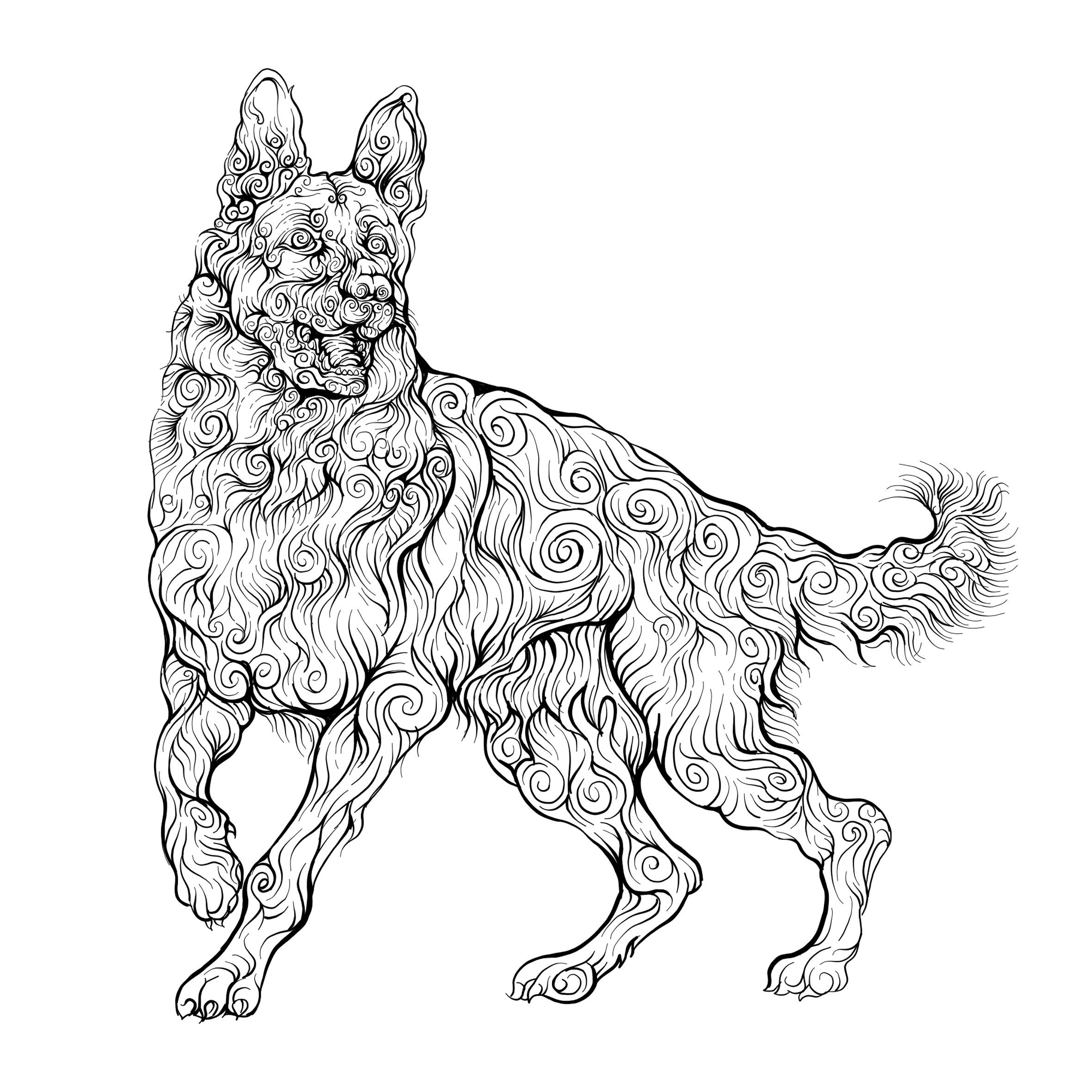dog-coloring-book-for-adults-and-teens-funny-dogs-book-etsy-australia