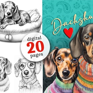 Dachshund Coloring Book imprimible en escala de grises dachshund Coloring Pages / Dachshund Coloring Pages digital / Zentangle Dachshund descargar