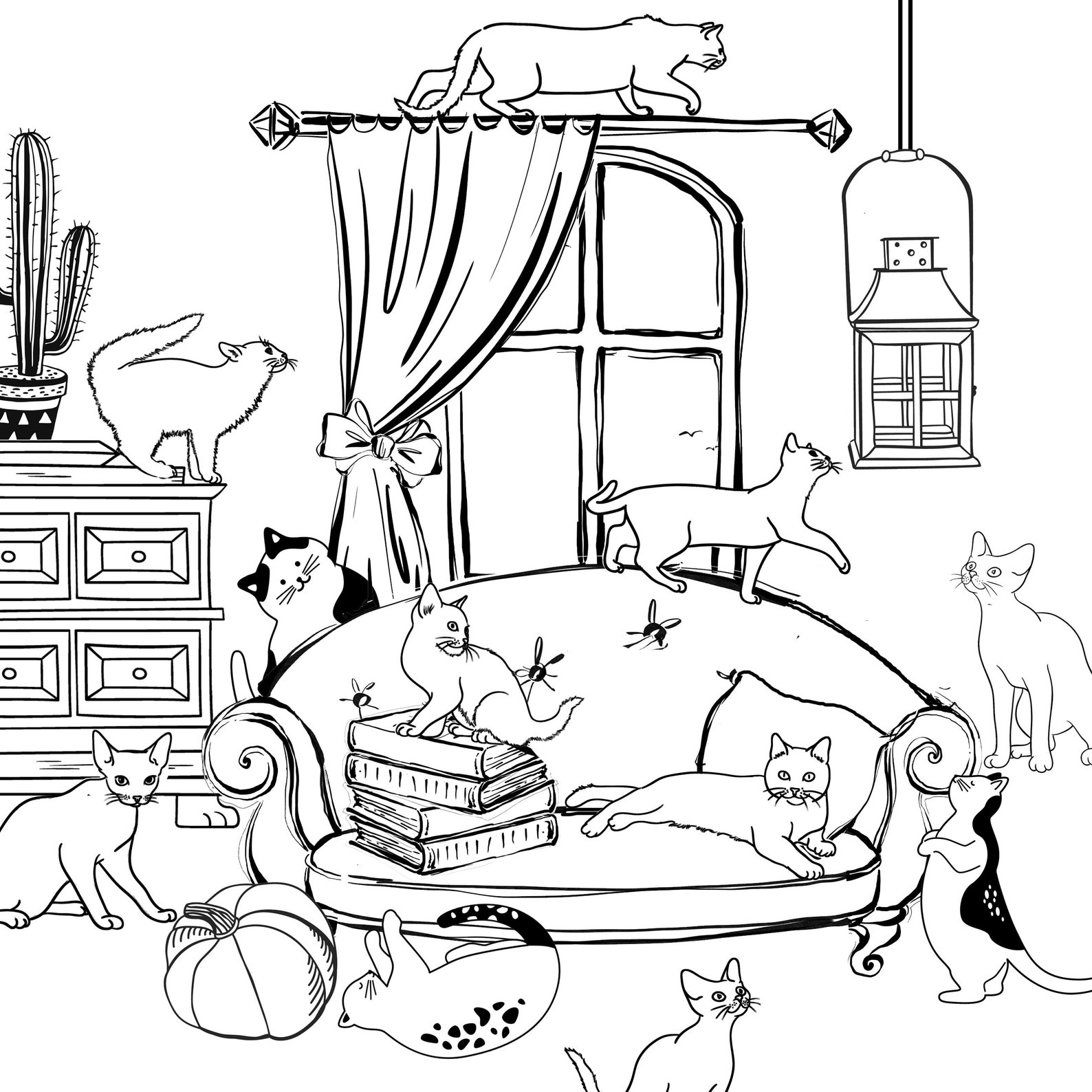 Livre de coloriage pour chats pour adultes Chats charmants  Etsy