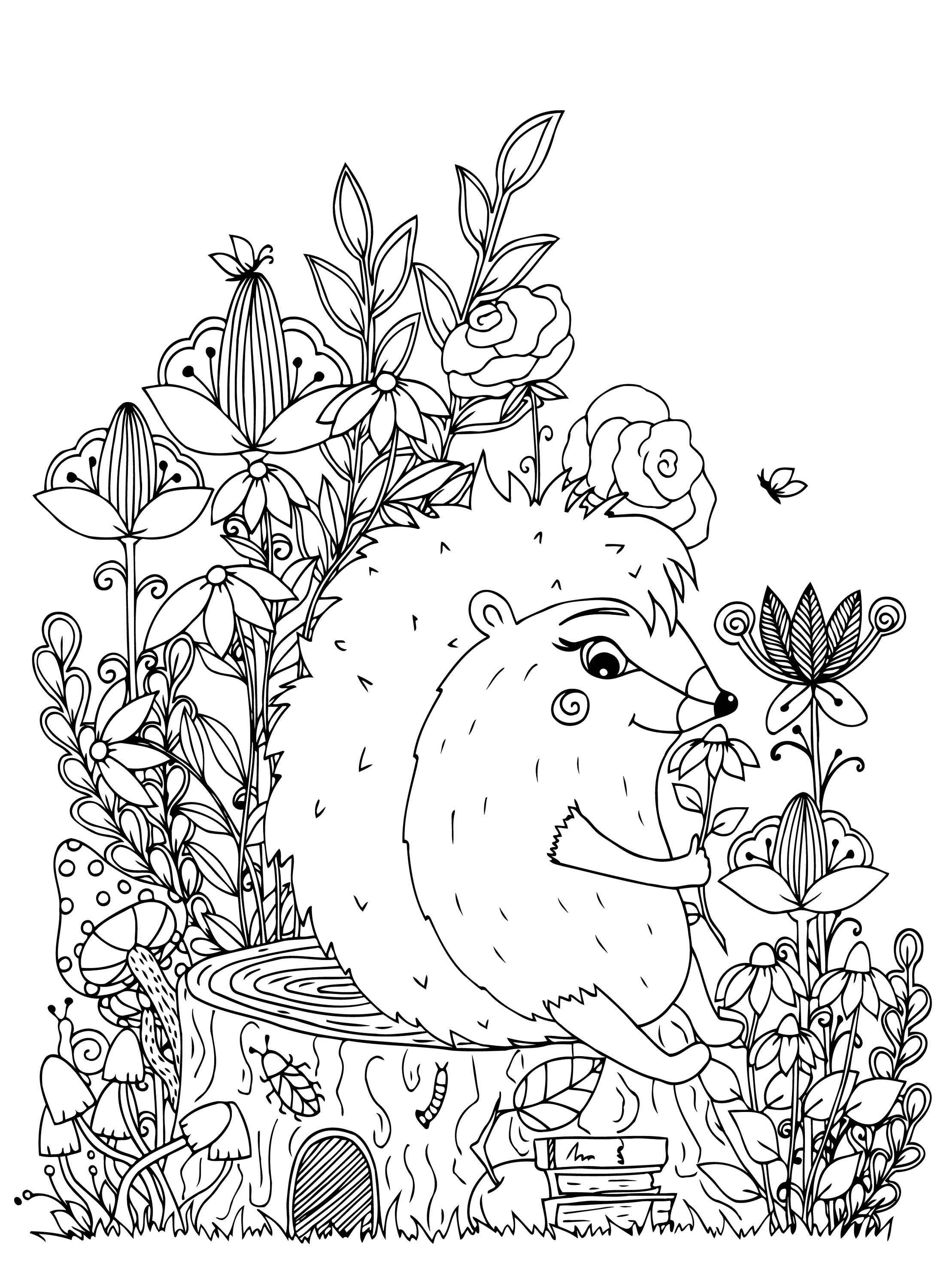 Hedgehog Coloring Book for Adults and Kids: Little Hedgehogs - Etsy UK