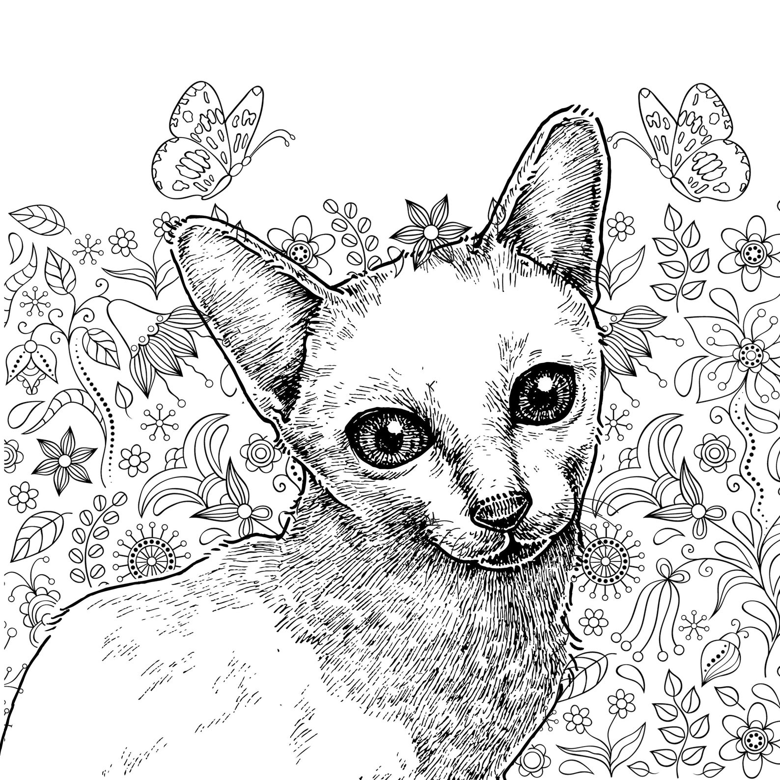 Livre de coloriage pour chats pour adultes Chats charmants  Etsy France