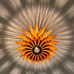 Orange flush mount ceiling light store