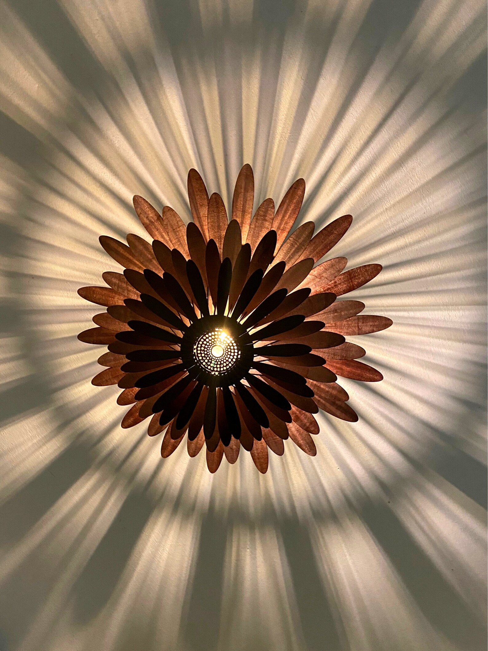 Gallery image with a fresh perspective