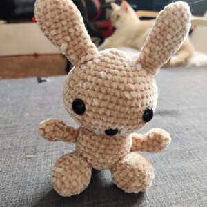 Stuffed rabbit amigurumi pattern image 3