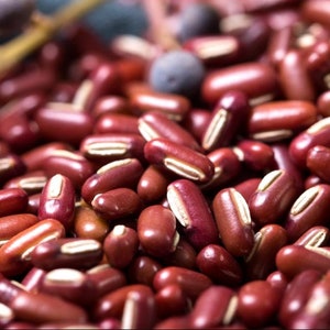 Organic Dried Red Beans, Vigna umbellata, Rice Bean, Semen Phaseoli image 4